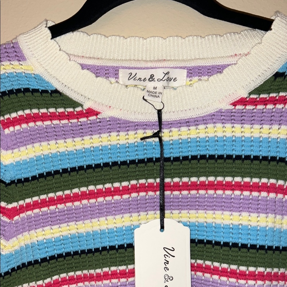 Vine & Love Striped Crochet Crewneck Top in Purple, Blue & Green - Picture 2 of 5